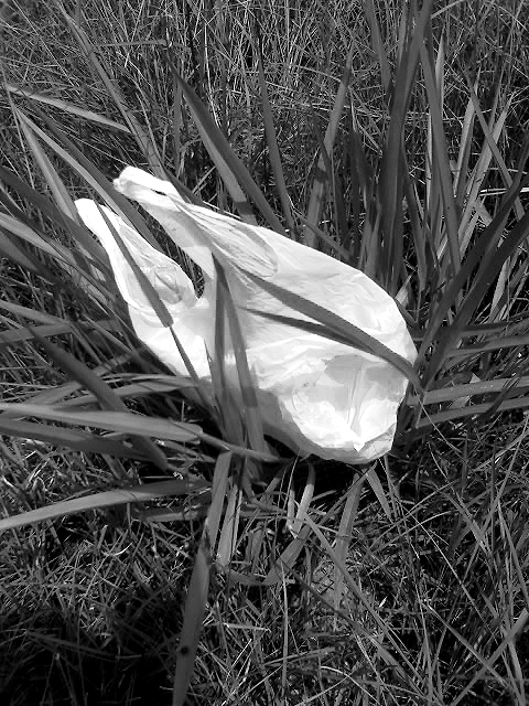 Intrusos: SEM NOME (2009)