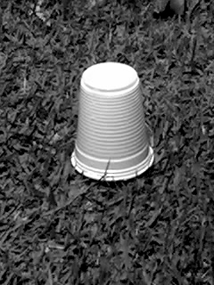 Intrusos: SEM NOME (2009)
