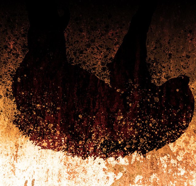 Queimadas: BICHO PREGUIÇA