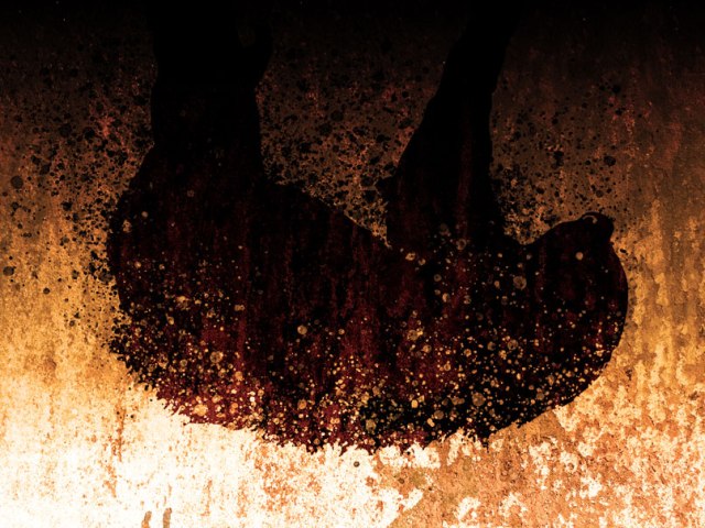 Queimadas: BICHO PREGUIÇA