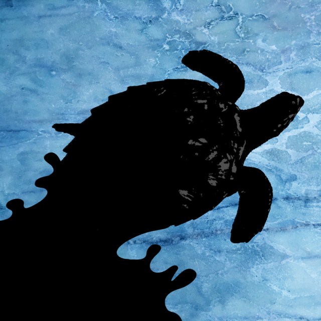 Óleo no Mar: TARTARUGA MARINHA