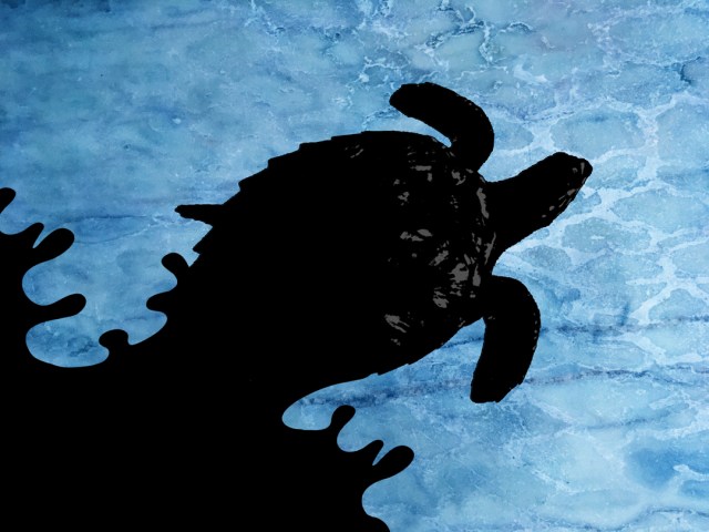 Óleo no Mar: TARTARUGA MARINHA