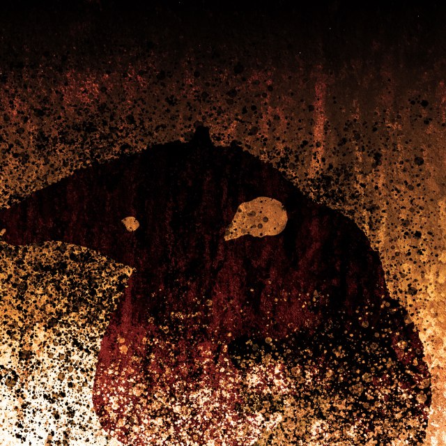 Queimadas: TAMANDUÁ MIRIM