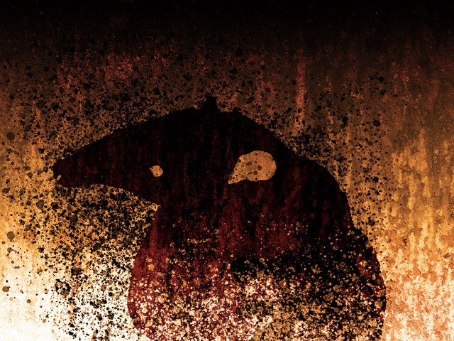 Queimadas: TAMANDUÁ MIRIM