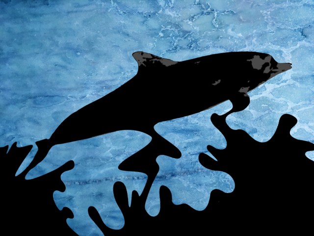 Óleo no Mar: GOLFINHO