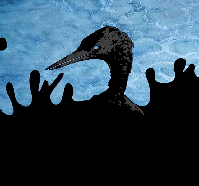 Óleo no Mar: GAIVOTA