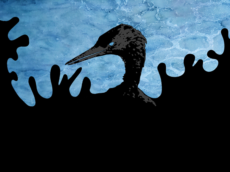 Óleo no Mar:&nbsp;GAIVOTA