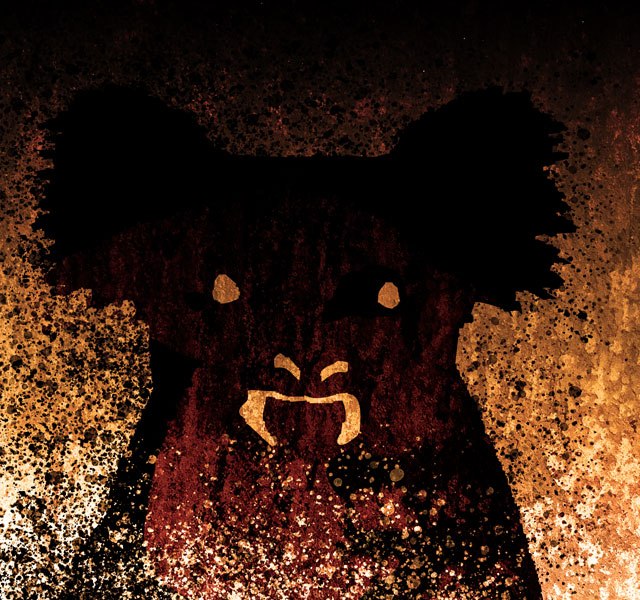Queimadas: Urso Coala