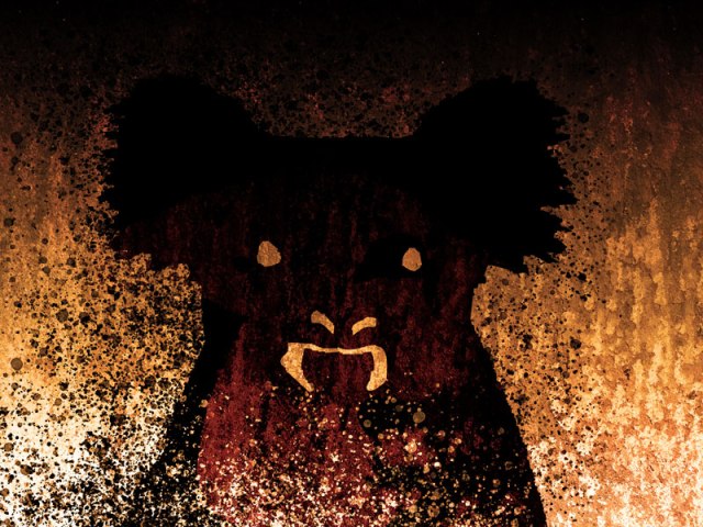 Queimadas: Urso Coala