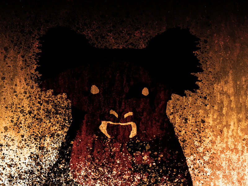 Queimadas: URSO COALA