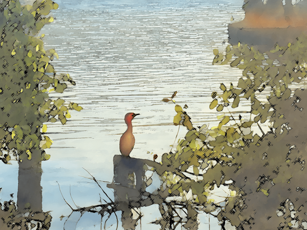 PAISAGENS - PÁSSARO À BEIRA DA LAGOA.
