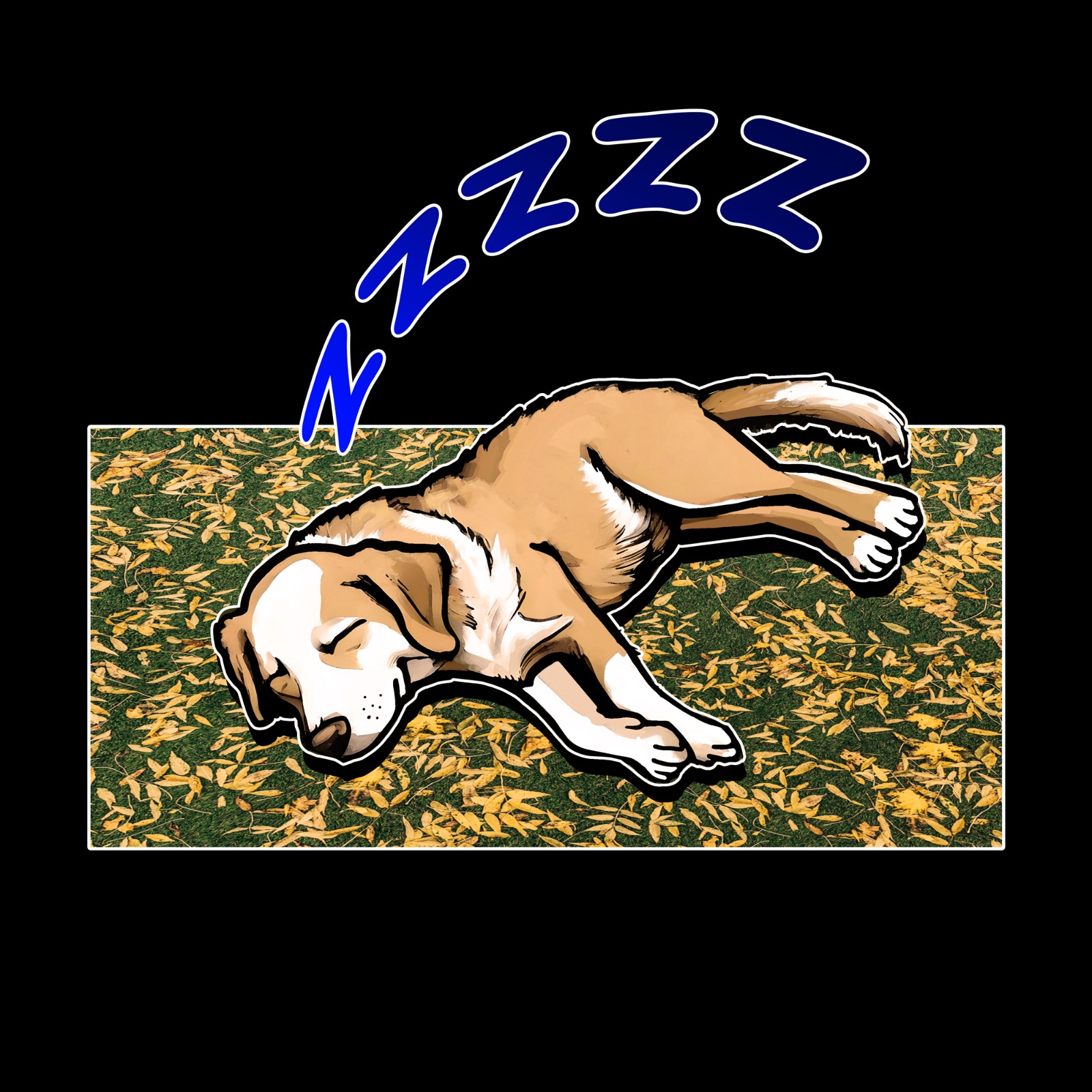 COTIDIANO - O COCHILO DO CACHORRO.