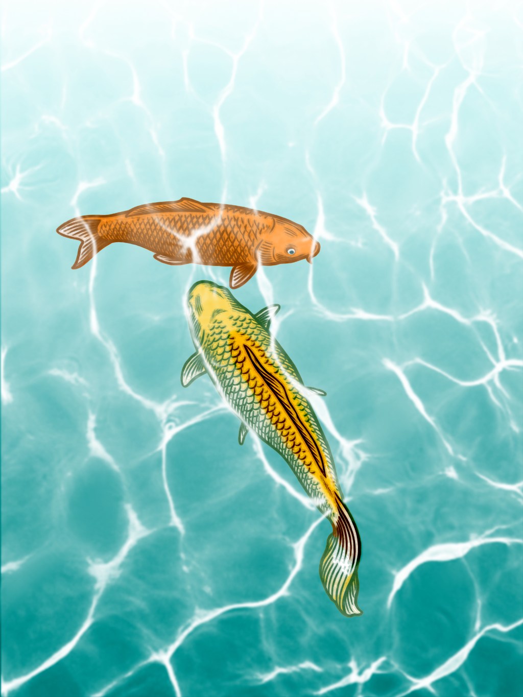 COTIDIANO | DOIS&nbsp;PEIXES